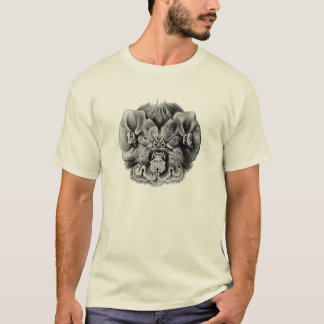 Chiropterafladdermöss Tee