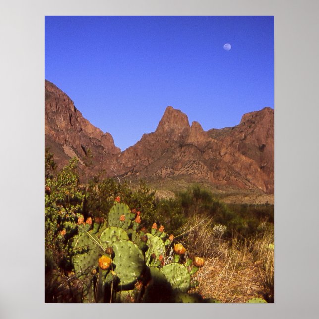 Chisos Moonrise Poster (Framsidan)