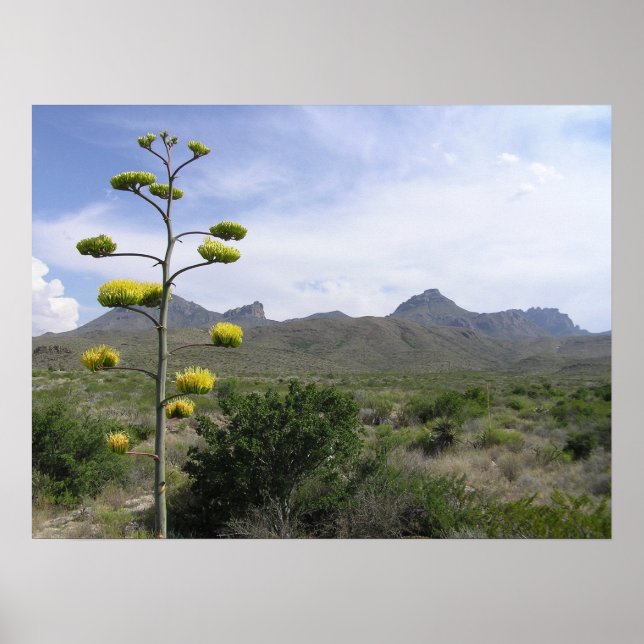 Chisosbergen - Big Bend, Texas Poster (Framsidan)
