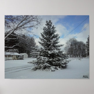 Chistmas Träd obundet Poster