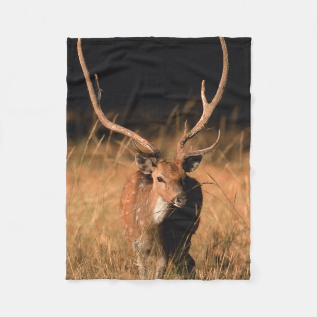 Chital naturlig habitat | Bandhavgar nationalpark Fleecefilt (Framsidan)