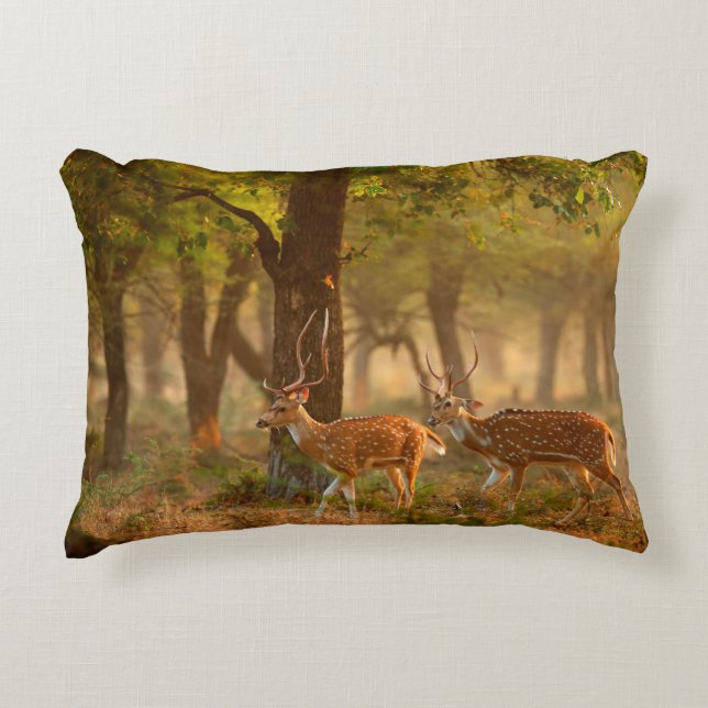Chital or cheetal, Axis axis, spotted deers or axi Prydnadskudde (Framsidan)