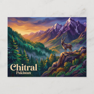 Chitral Gol nationalpark Pakistan Vykort