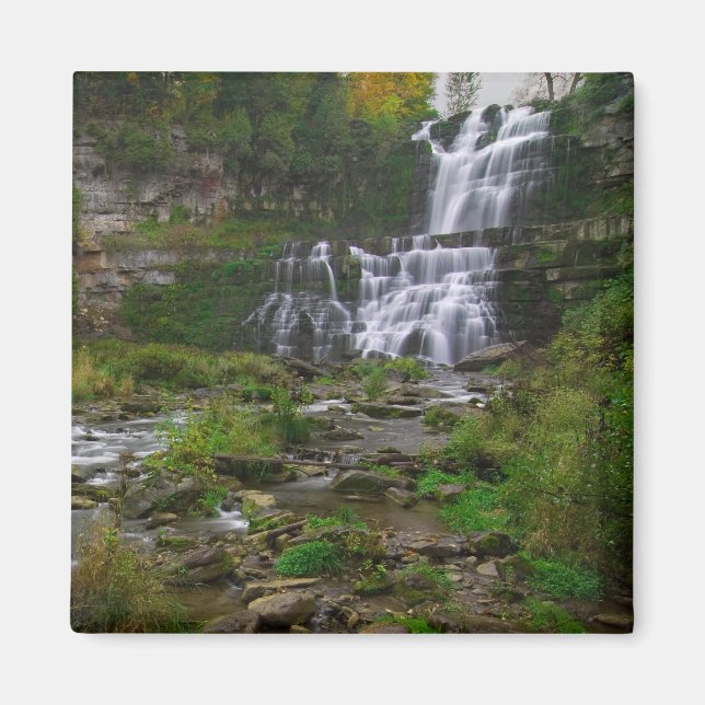 Chittenango Falls Magnet (Framsidan)