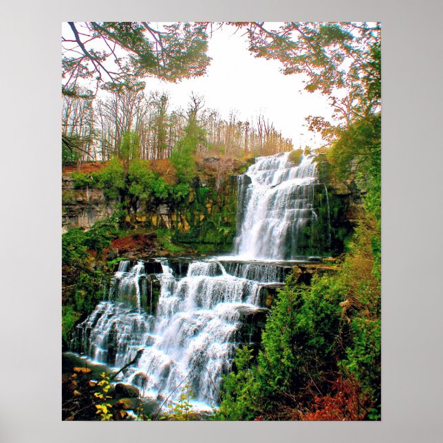Chittenango Falls State Pak Poster (Framsidan)