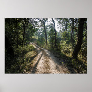 Chitwan Jungle Väg: Sunlit Forest Trail Poster