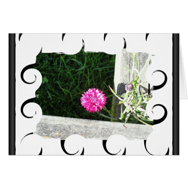 Chive Hälsningskort (Framsidan Horizontal)