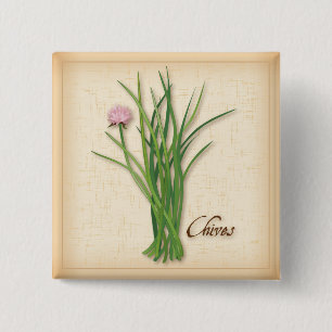 Chives Herb Button Knapp