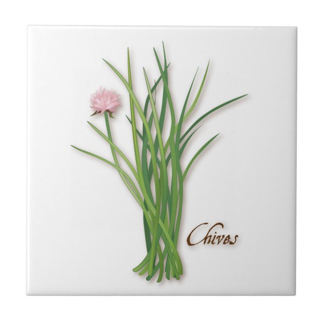Chives Herb Ceramic Tile Kakelplatta (Framsidan)