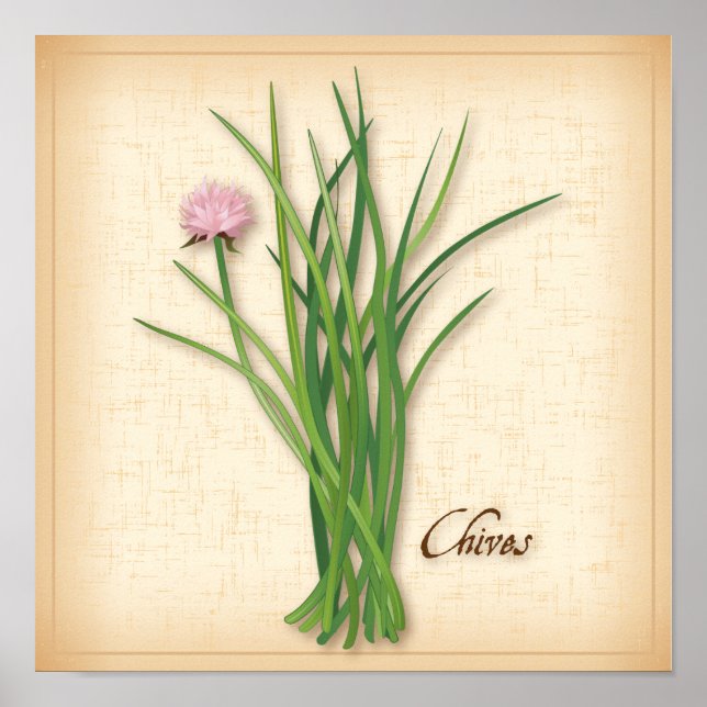 Chives Herb Poster (Framsidan)
