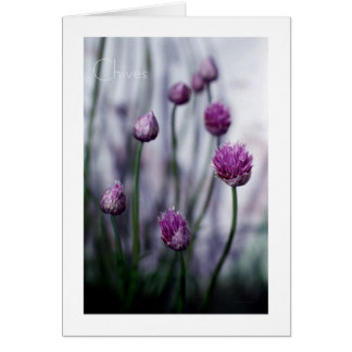 Chives in Bloom Hälsningskort