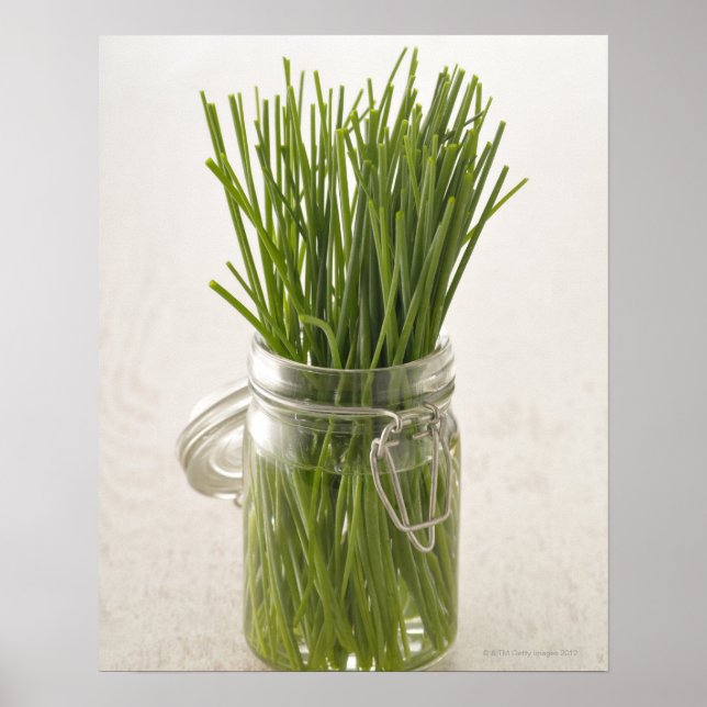 Chives Poster (Framsidan)