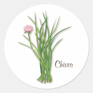 Chives Round Sticker Runt Klistermärke