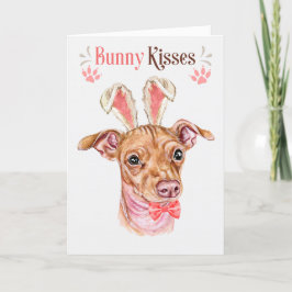Chiweenie Hund i Bunny Öron för Påsk Helgkort