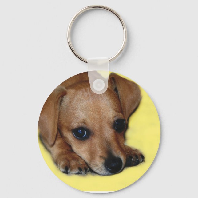 Chiweenie Puppy Keychain Nyckelring (Framsida)