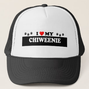 CHIWEENIE TRUCKERKEPS