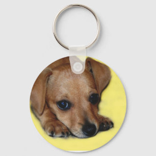 Chiweenie valp Keychain Nyckelring