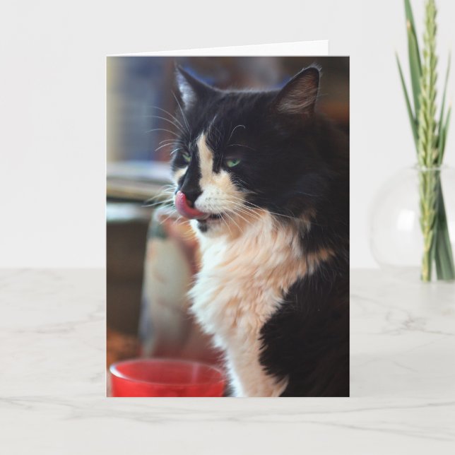 Chloe aningar kort (Framsida)