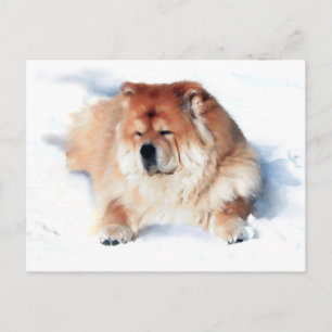 CHLOE LAYING IN THEARTdog vycard I SNÖ Vykort