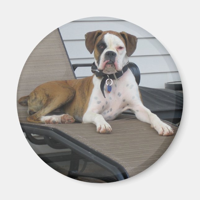 Chloe Magnet (Framsidan)