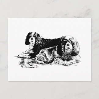 Chloe och Ollie vycard Vykort