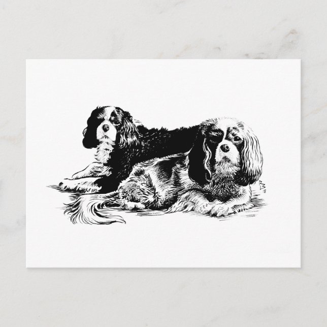 Chloe och Ollie vycard Vykort (Framsida)