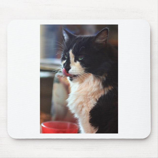 Chloe Slickar Musmatta (Framsidan)