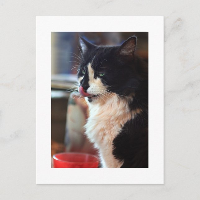 Chloe Slickar Vykort (Framsida)