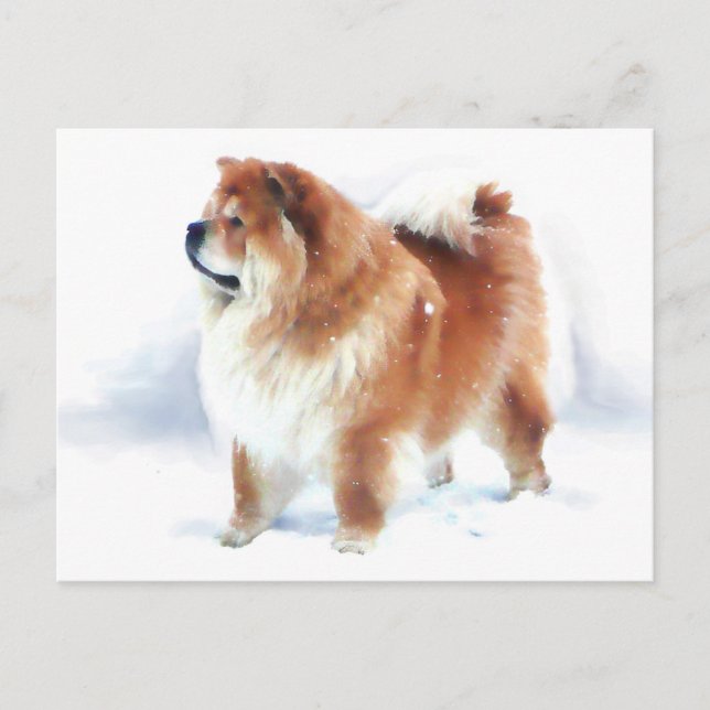 CHLOE STANDS IN SNÖ, THEARTdog vycard Vykort (Framsida)