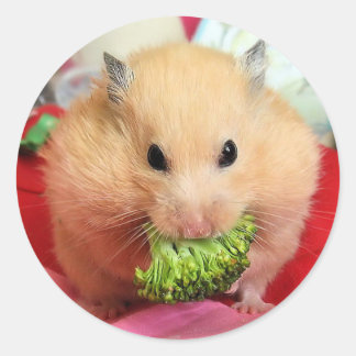 Chmurka och broccoli runt klistermärke