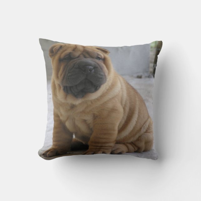 CHNESE ShAR PEi Kudde (Framsida)