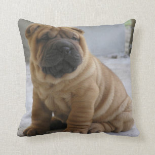 CHNESE ShAR PEi Kudde