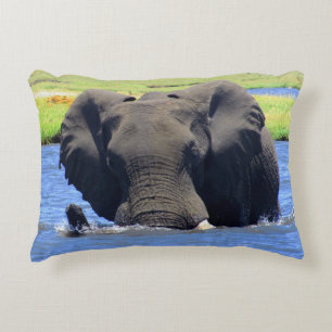 Chobe Elephant Dekorativ kudde