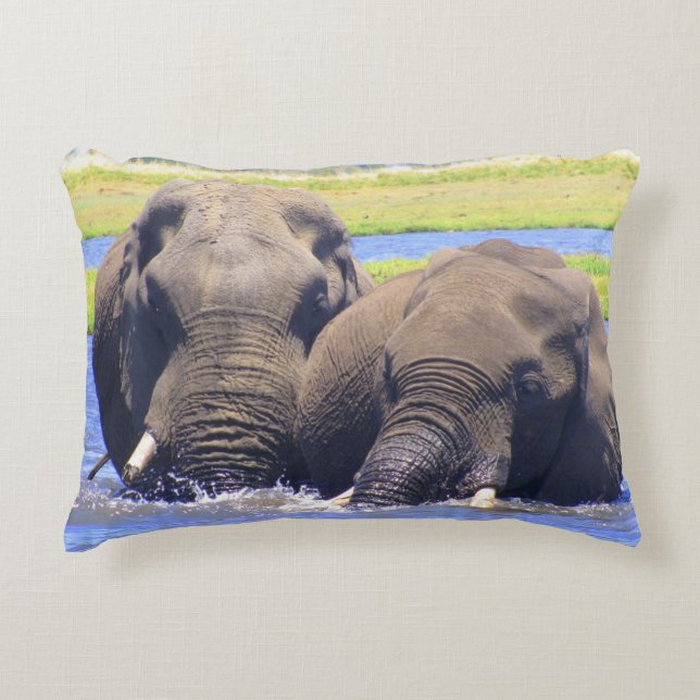 Chobe Elephants Spelar i Vatten accent Pillow Prydnadskudde (Framsidan)