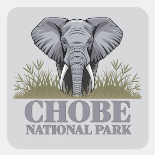 Chobe National Park Botswana Fyrkantigt Klistermärke