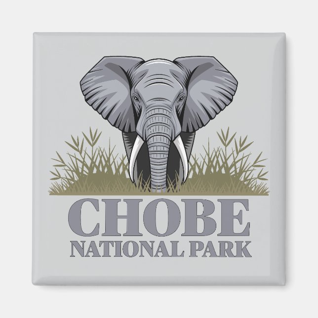 Chobe National Park Botswana Magnet (Framsidan)