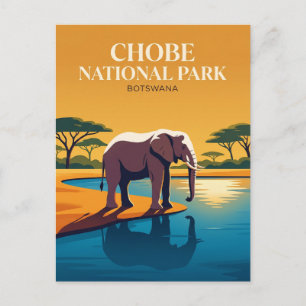 Chobe nationalpark Botswana Vykort