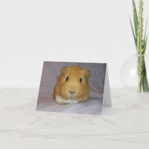 ChoCho Notecard Kort
