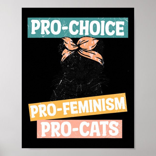 Chockad feminist Cat Mamma Reproductive Högers Pro Poster (Framsidan)