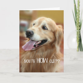 Chockad Golden Retriever Du är hur gammal födelsed Kort