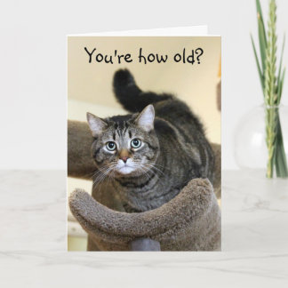 Chockad Kat Birthday Önskemål Kort