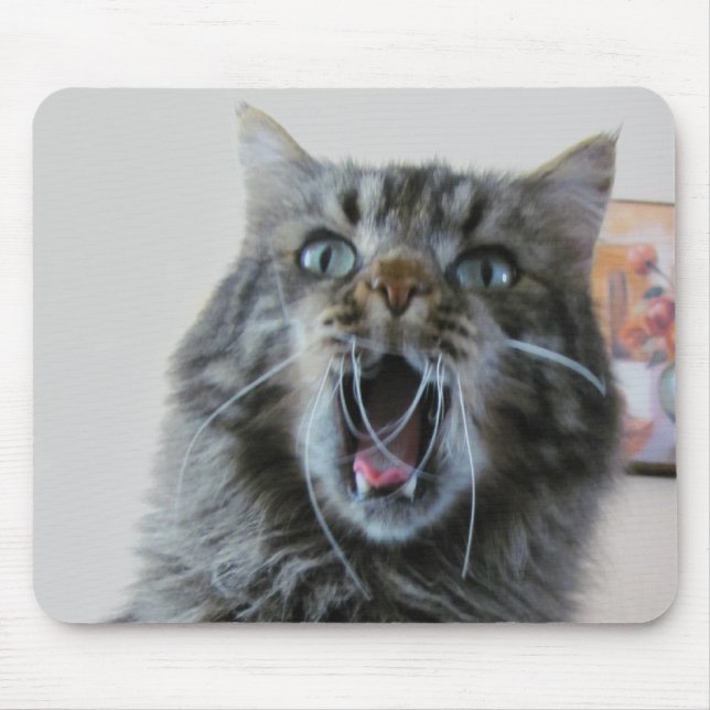 Chockad katt är chockad musmatta (Framsidan)