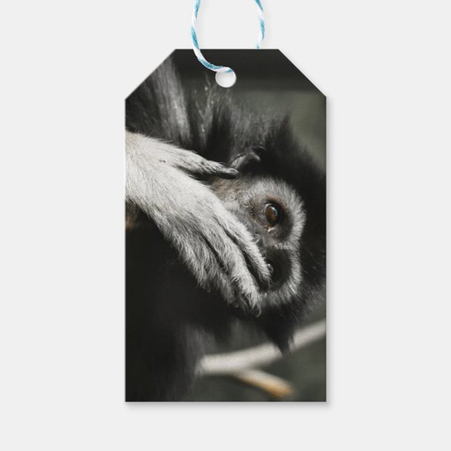 Chockade apa anpassade presentkort presentetikett (Framsidan)