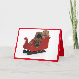 Chockerande genom Snö Helgkort