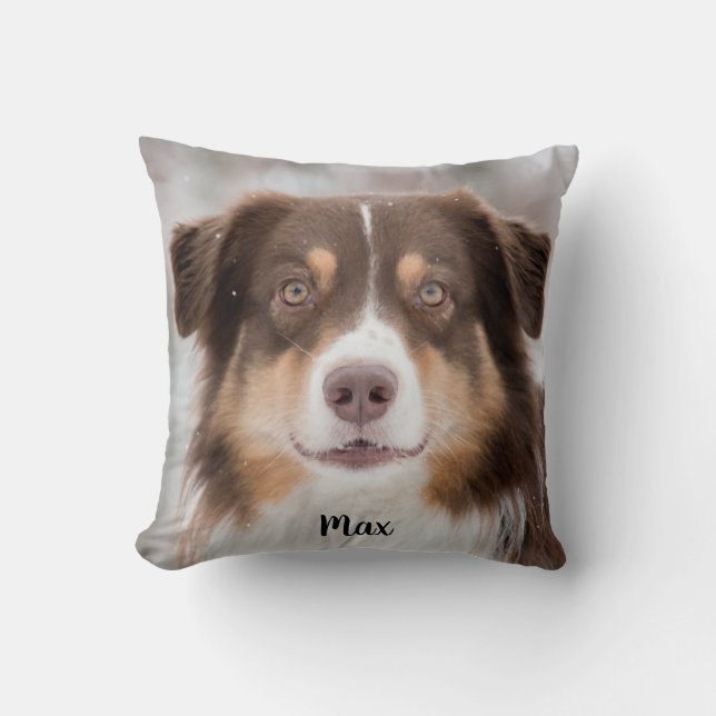 Chocolate Australian shepherd Puppy Hund Kudde (Framsida)