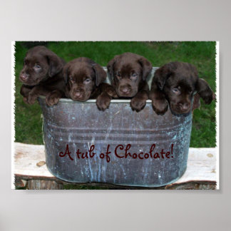 Chocolate bild poster