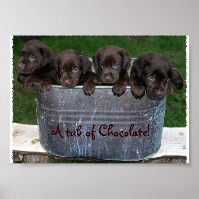 Chocolate bild poster (Framsidan)