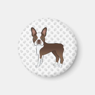 Chocolate Brown Boston Terrier Tecknad hund & Tass Magnet