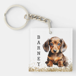 Chocolate Brown Dachshund Sause Hund Personlig