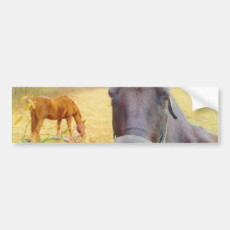 Chocolate Brown-häst Bildekal
